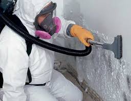  , USA Mold Removal Pros